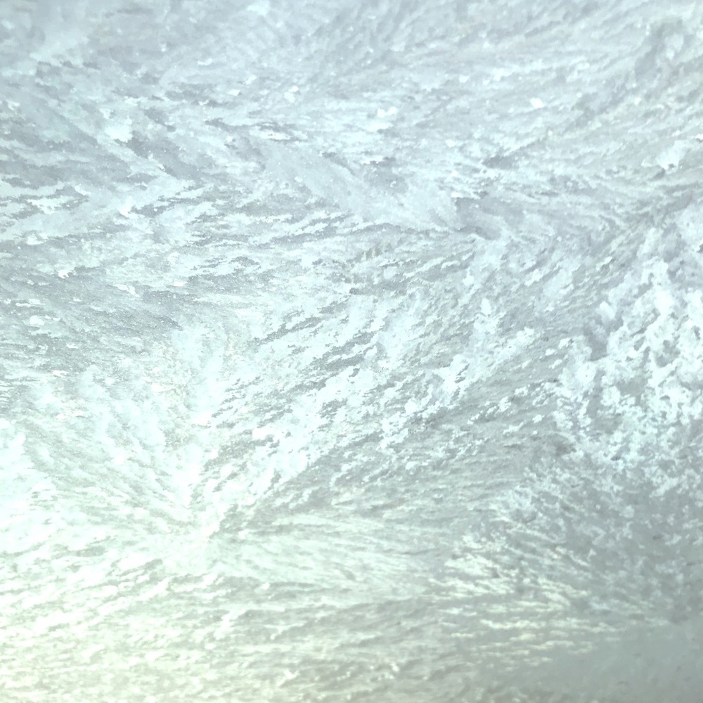 Meet your Posher, Lacey